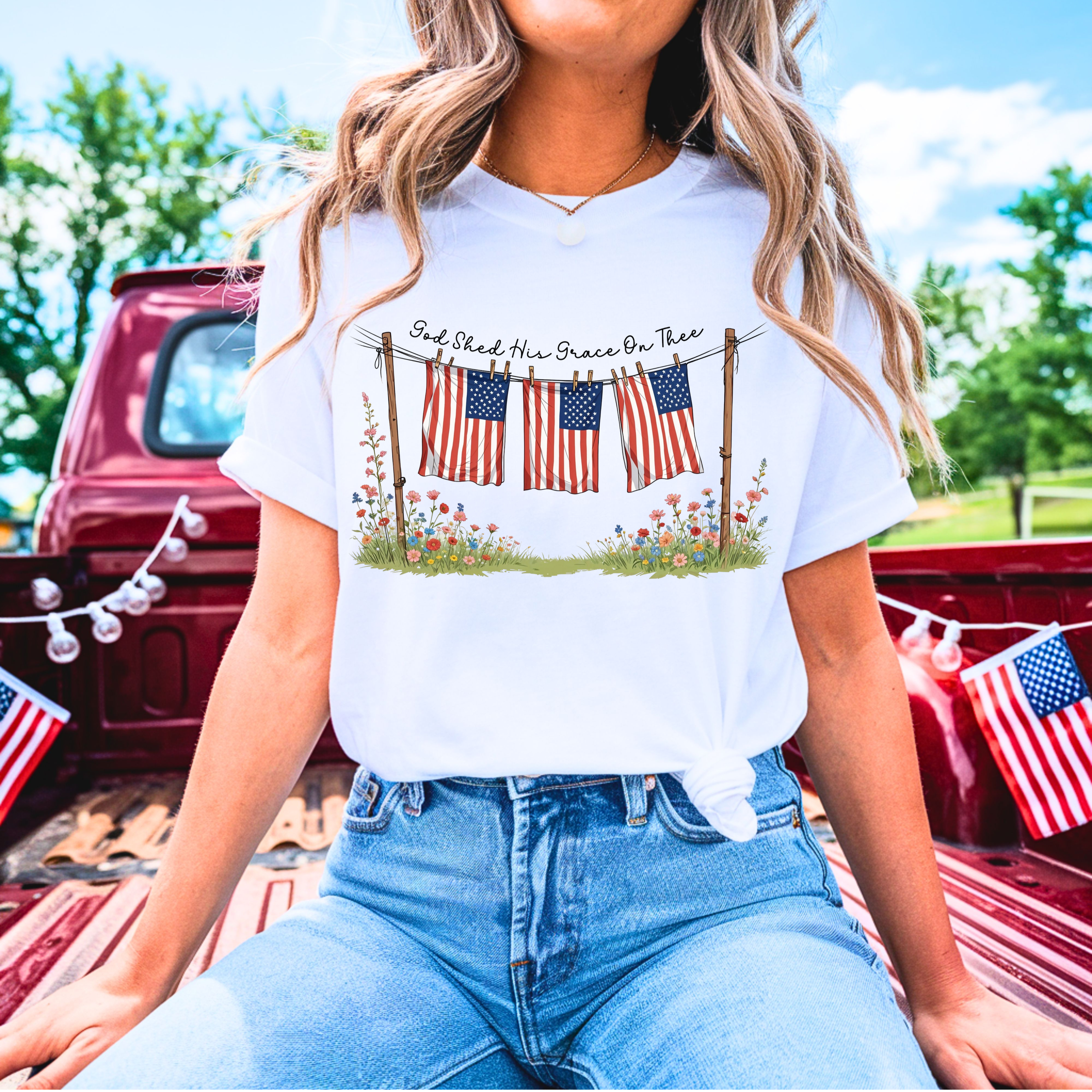 4th of July Clothesline comfy T-shirt